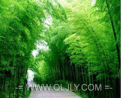 ͨĴ|ɴ󺣲ɽ+ͨ++{5|к{5